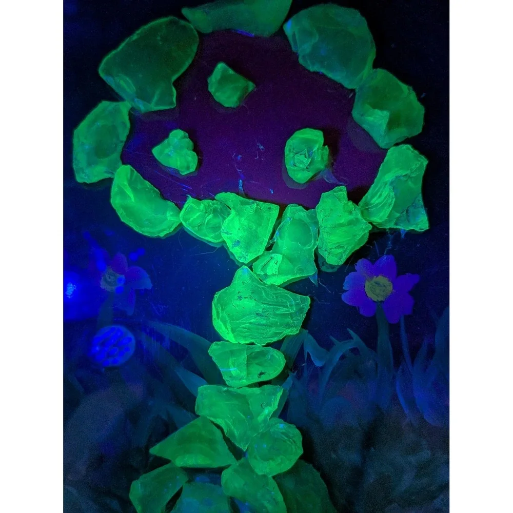 Handmade UV Glow Mushroom Slag Glass Mixed Media Framed Art‎ Blacklight Trippy